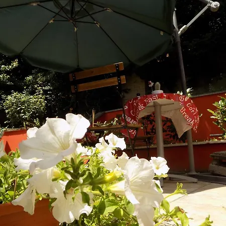 Oda ve Kahvaltı Il Giardino Delle Camelie