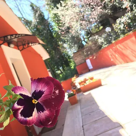 Il Giardino Delle Camelie Oda ve Kahvaltı *