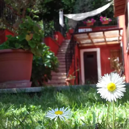 Il Giardino Delle Camelie Palestrina