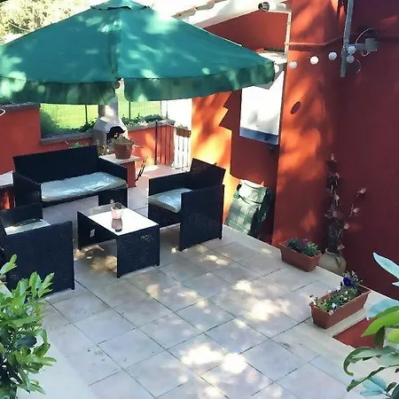 Il Giardino Delle Camelie *