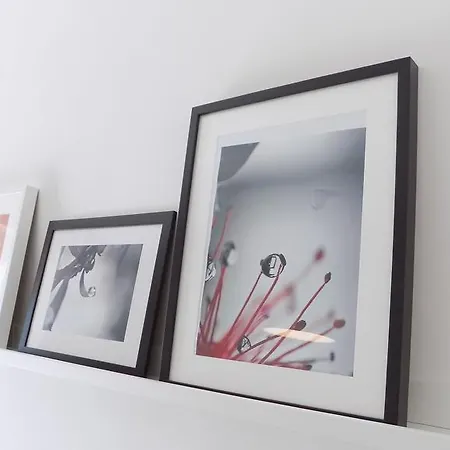 Il Giardino Delle Camelie * Palestrina