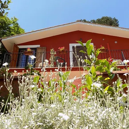 Il Giardino Delle Camelie Bed & Breakfast *