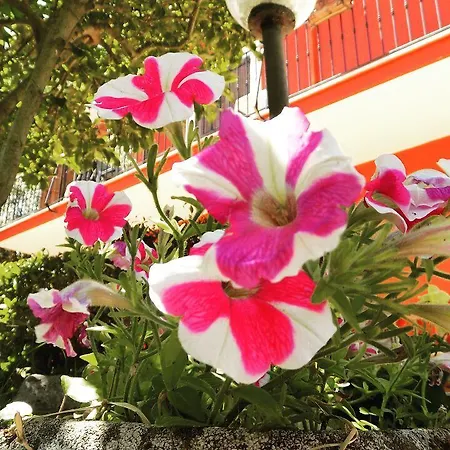 Il Giardino Delle Camelie Bed & Breakfast Palestrina